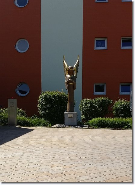 N&auml;chstes Bild