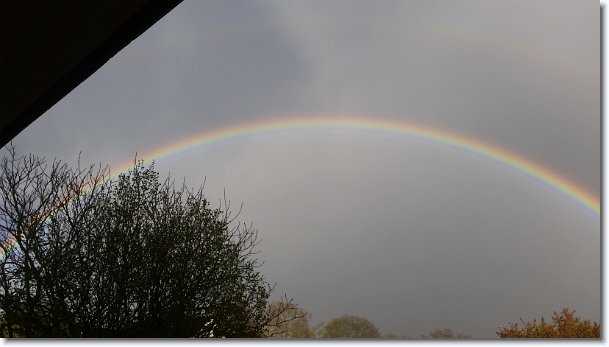 N&auml;chstes Bild