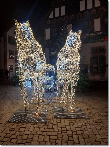 N&auml;chstes Bild