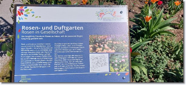 N&auml;chstes Bild