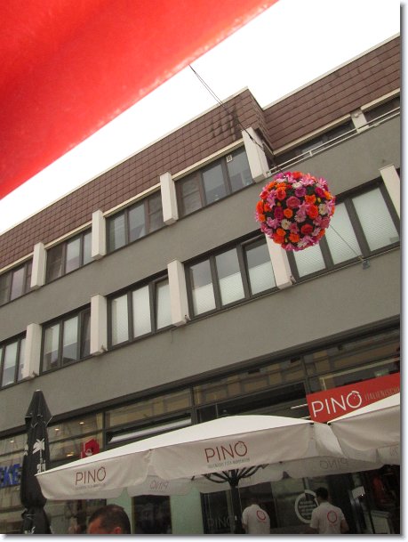 N&auml;chstes Bild