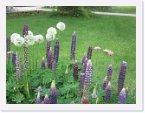 LGS_3_05 * 4608 x 3456 * (5.32MB)