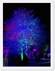 Lichter hx_20 * 3456 x 4624 * (3.66MB)