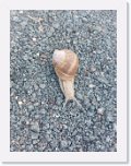 Friedrichr_08 * 4624 x 3468 * (5.38MB)