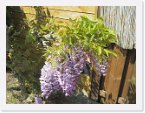 garten_04 * 4608 x 3456 * (5.06MB)